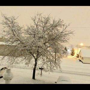 Meet your Posher, Desiree